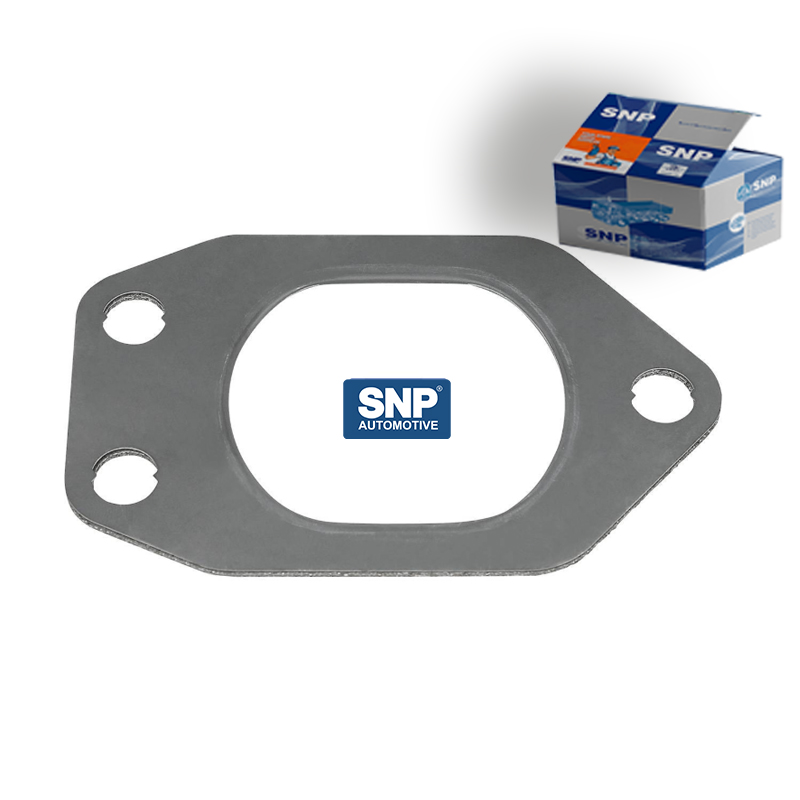 1639810-daf-gasket-250.jpg